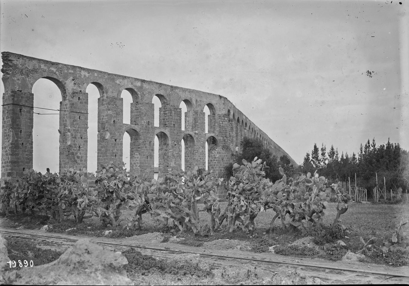 Tunisie , ruines d'aqueduc amenant les eaux de Zagouan