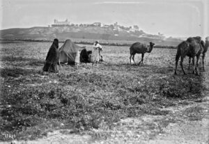 La grande firme de Kheir Eddine : Henchir Enfitha