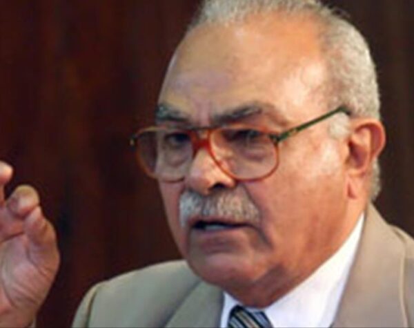 الدكتور محمد عمارة