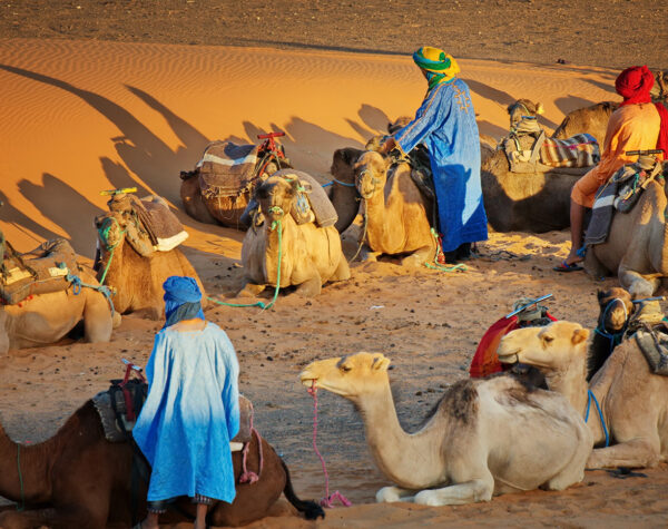قبائل العرب
