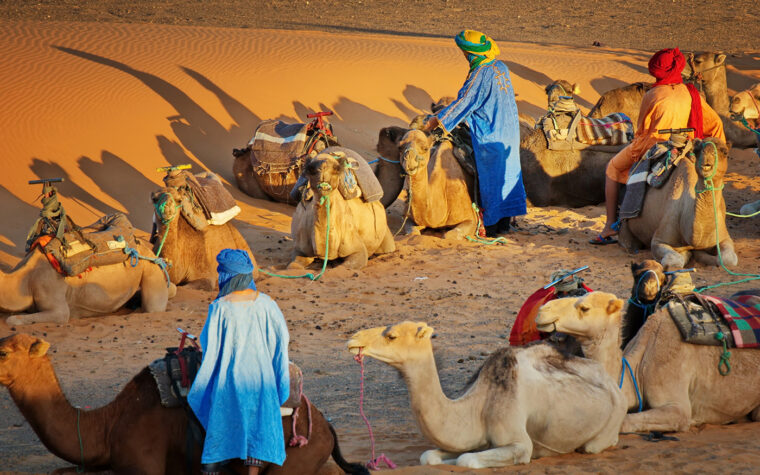 قبائل العرب
