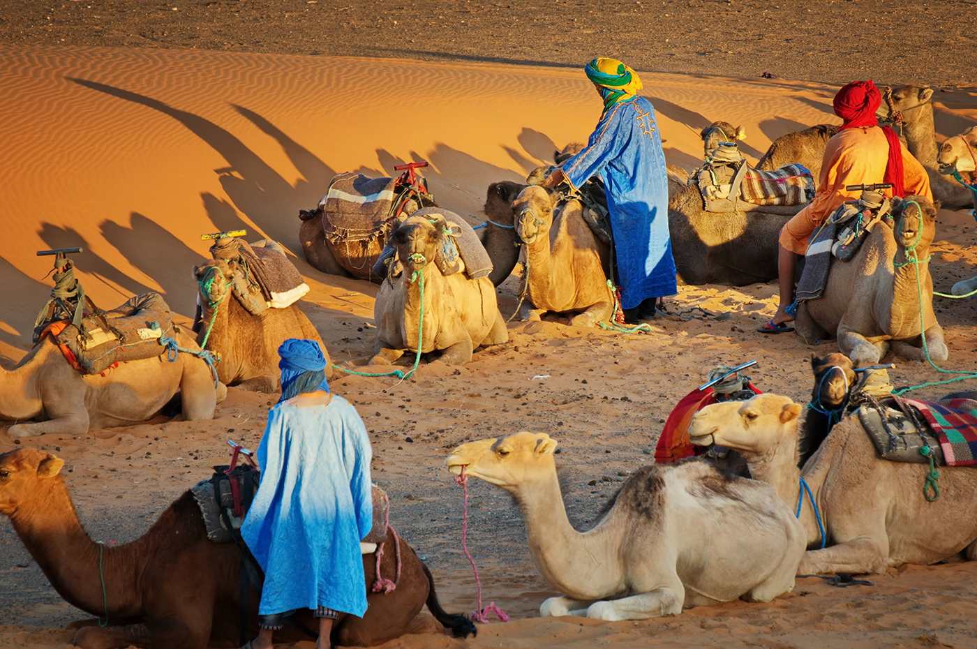 قبائل العرب